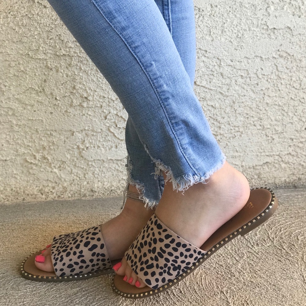 CHEETAH SLIDES - Picture 2 of 7